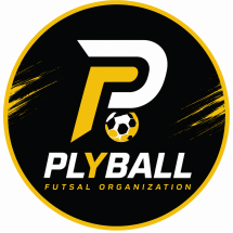 Plyball